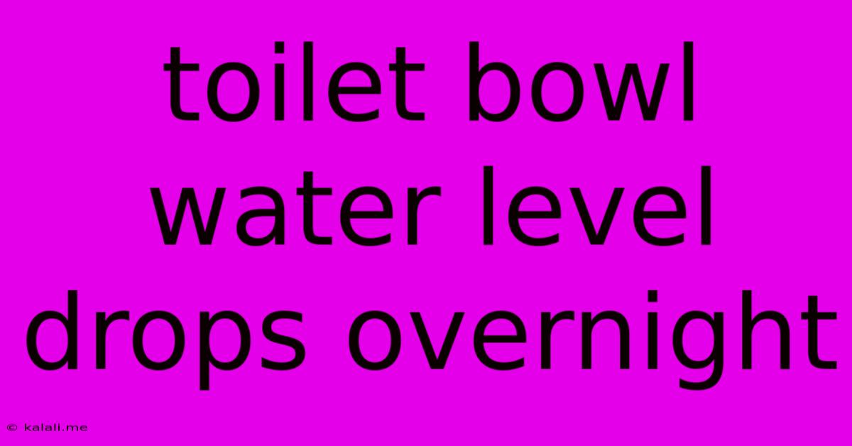 Toilet Bowl Water Level Drops Overnight