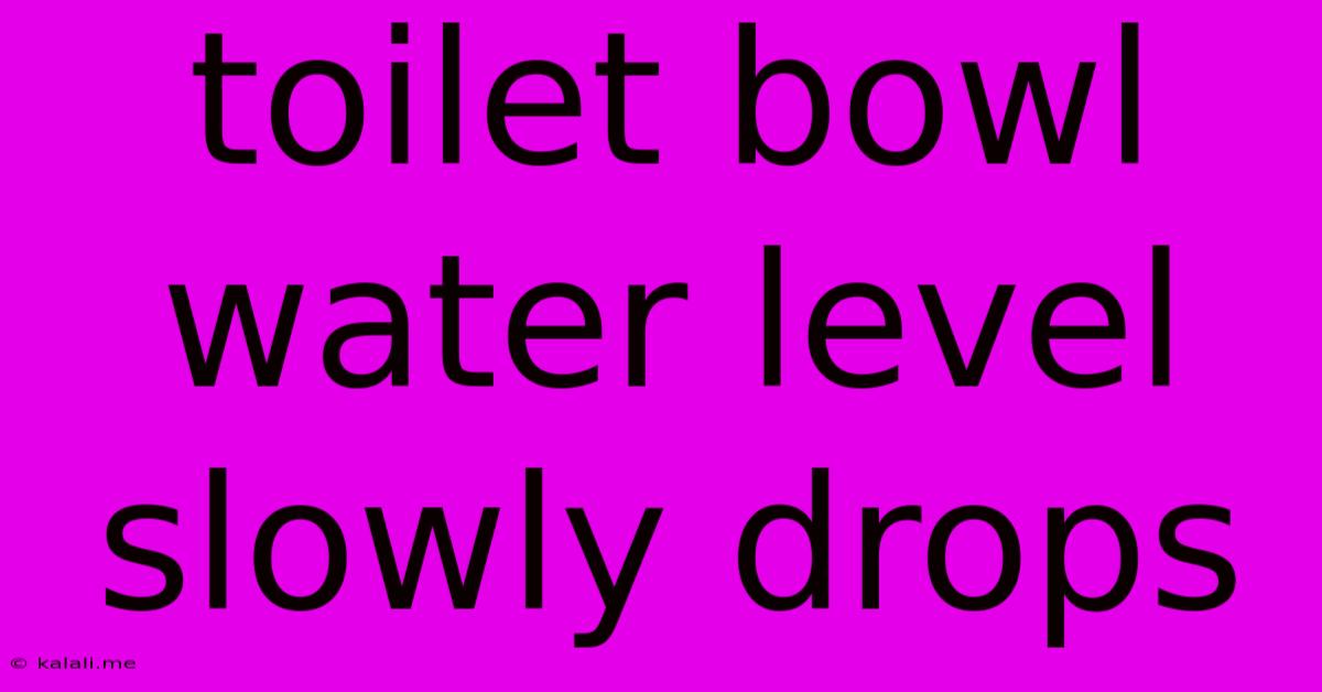 Toilet Bowl Water Level Slowly Drops