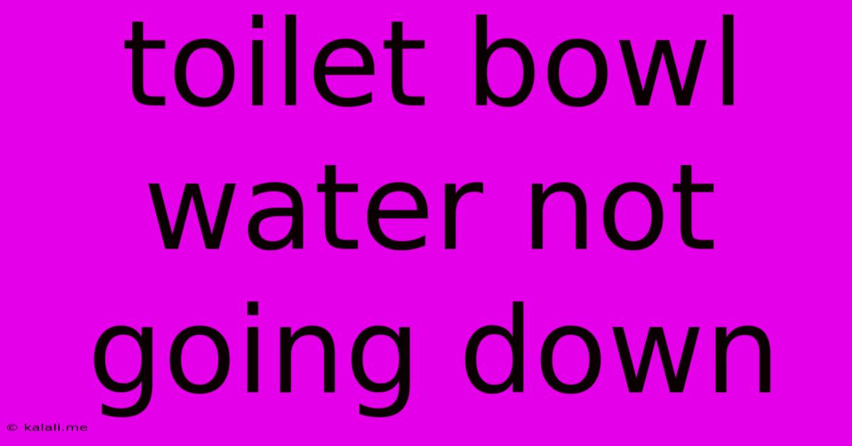 Toilet Bowl Water Not Going Down