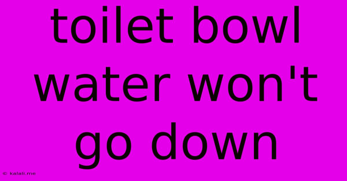 Toilet Bowl Water Won't Go Down