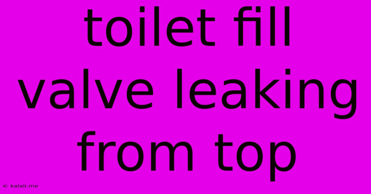 Toilet Fill Valve Leaking From Top