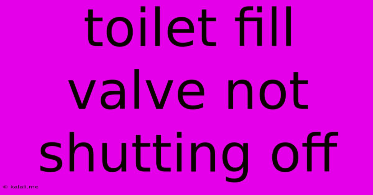 Toilet Fill Valve Not Shutting Off