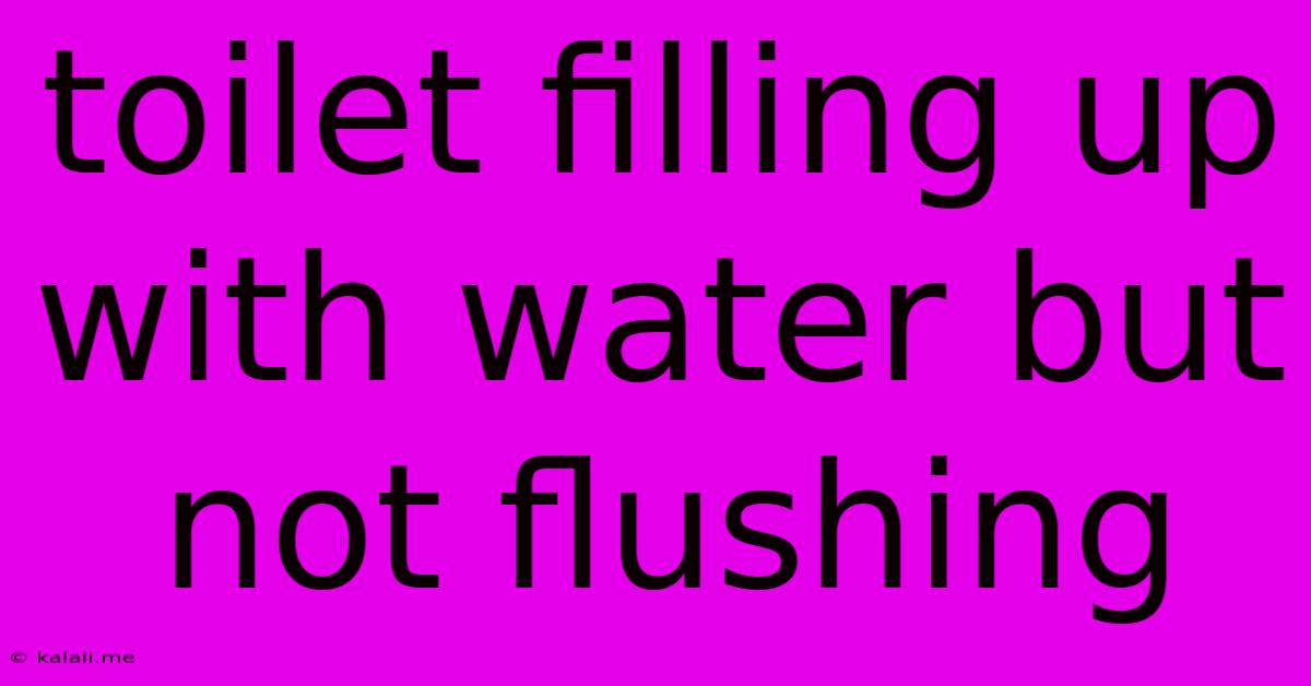 Toilet Filling Up With Water But Not Flushing