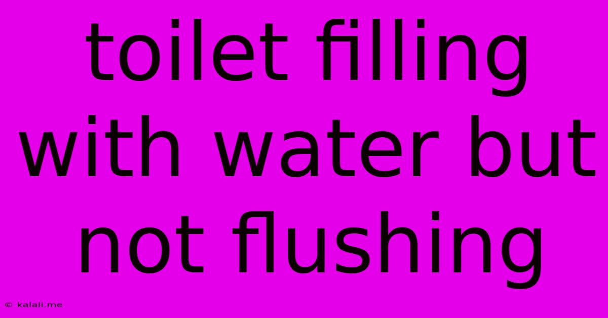 Toilet Filling With Water But Not Flushing