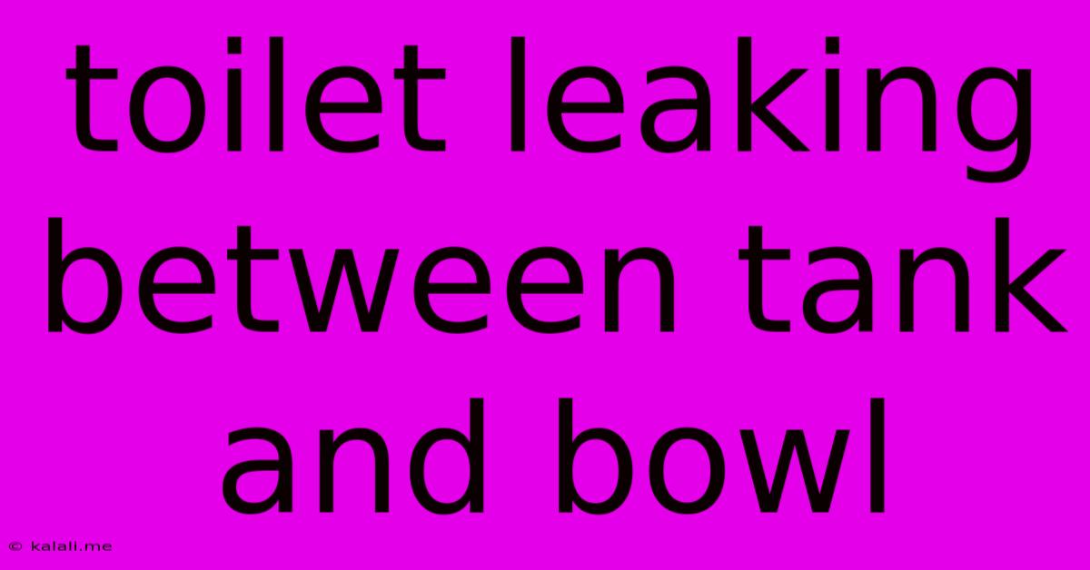 Toilet Leaking Between Tank And Bowl