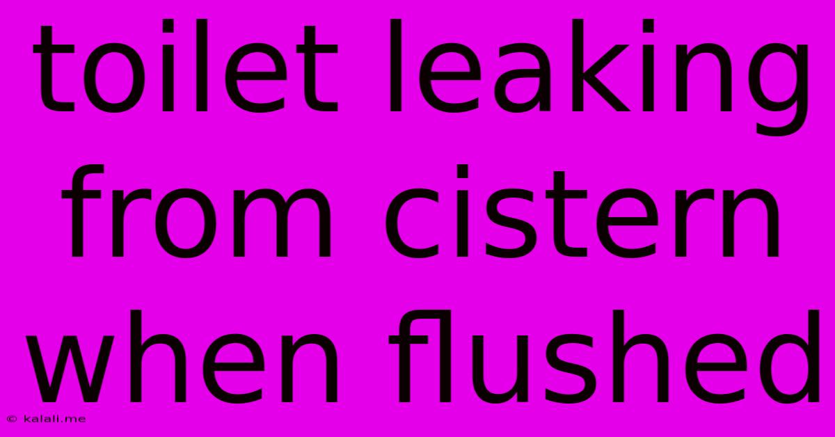 Toilet Leaking From Cistern When Flushed