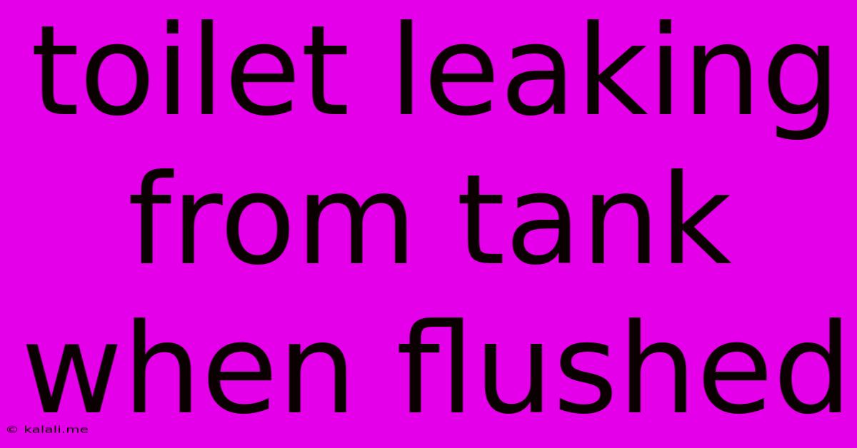 Toilet Leaking From Tank When Flushed