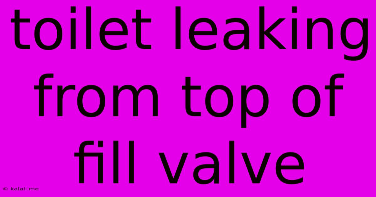 Toilet Leaking From Top Of Fill Valve