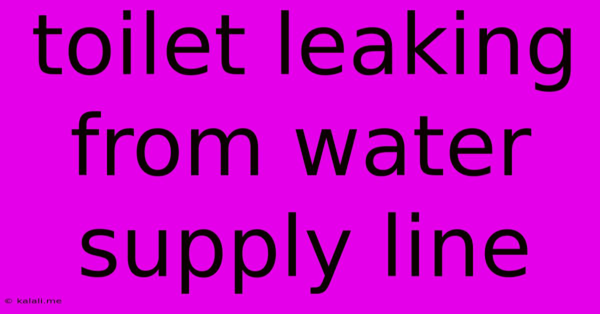 Toilet Leaking From Water Supply Line