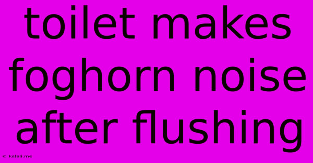 Toilet Makes Foghorn Noise After Flushing
