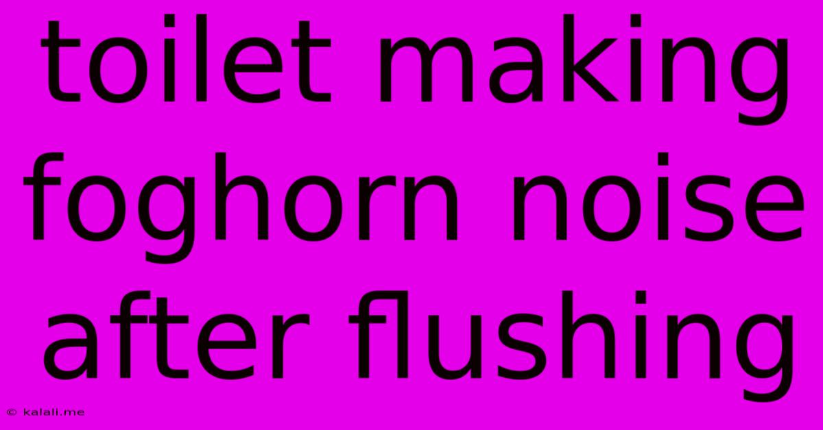 Toilet Making Foghorn Noise After Flushing