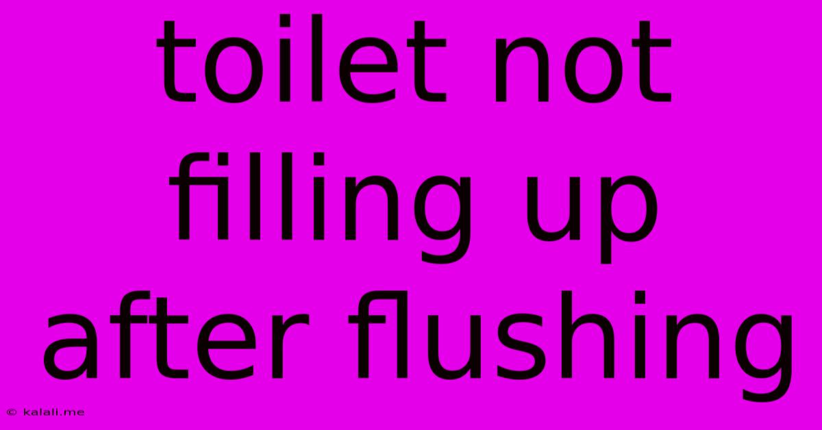 Toilet Not Filling Up After Flushing