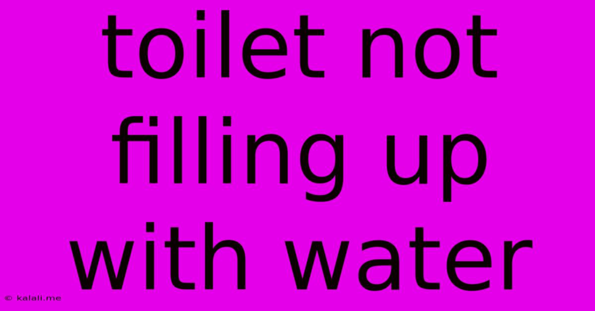 Toilet Not Filling Up With Water