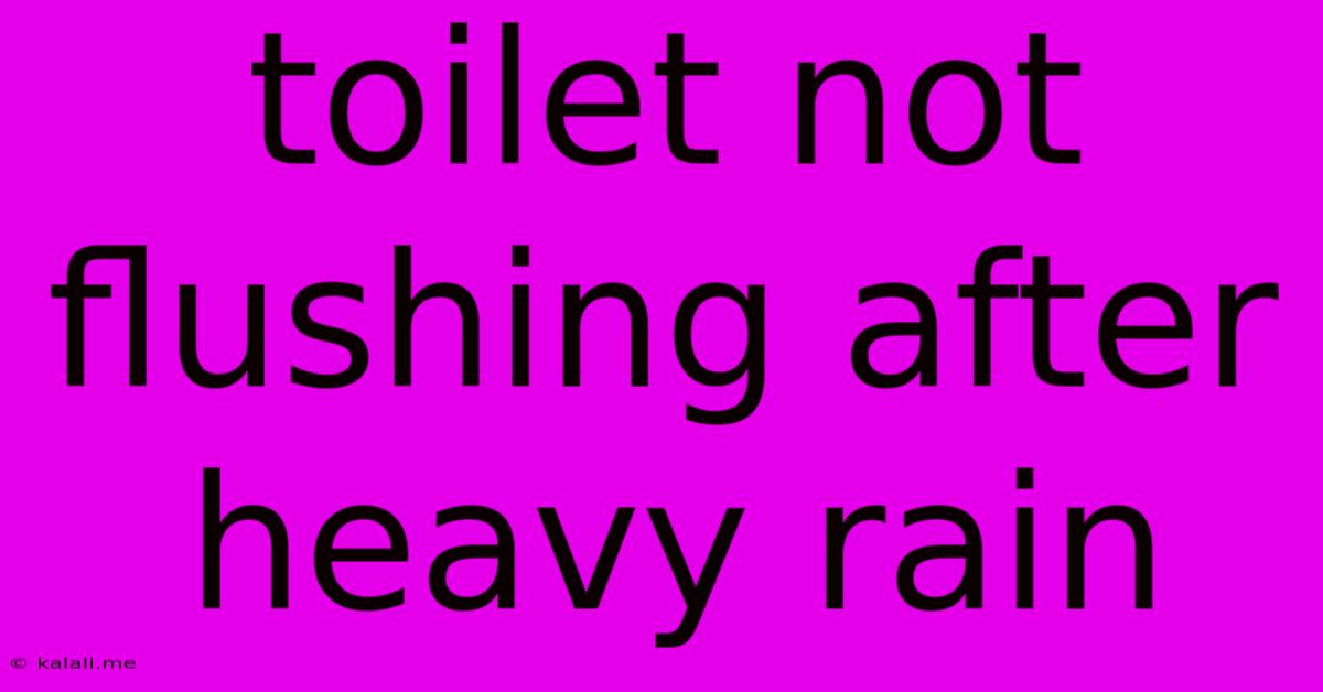 Toilet Not Flushing After Heavy Rain