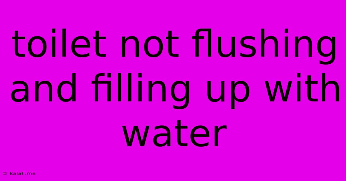 Toilet Not Flushing And Filling Up With Water