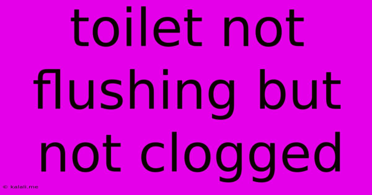 Toilet Not Flushing But Not Clogged