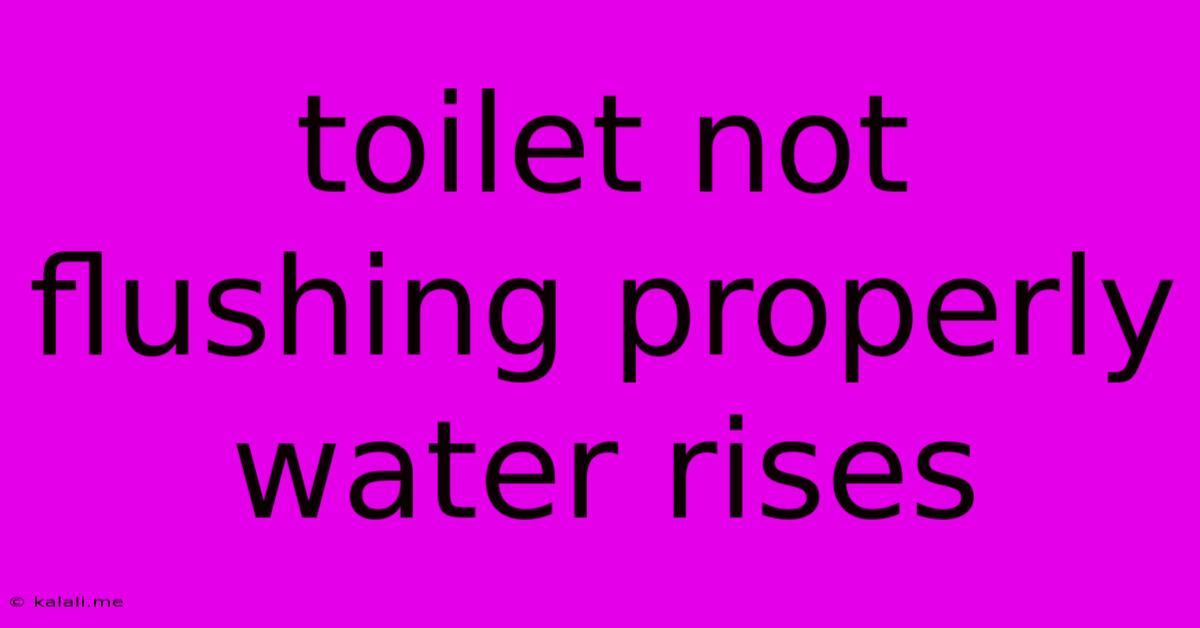 Toilet Not Flushing Properly Water Rises
