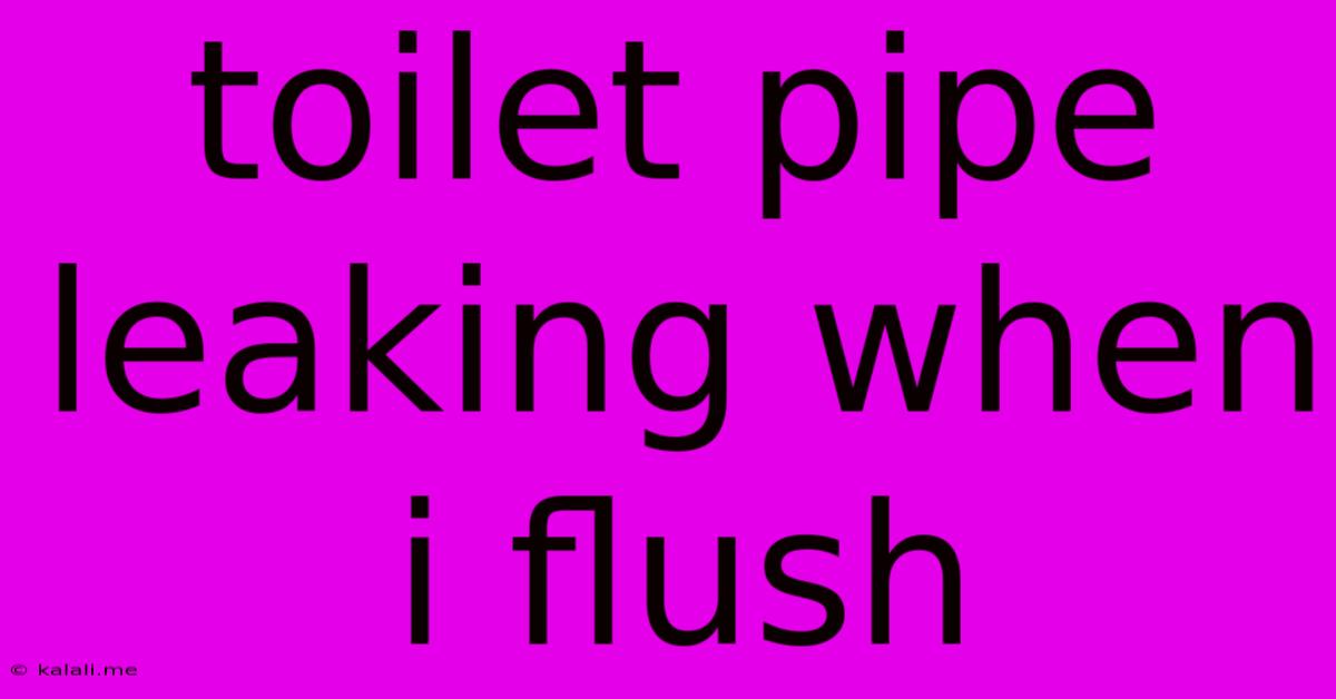 Toilet Pipe Leaking When I Flush