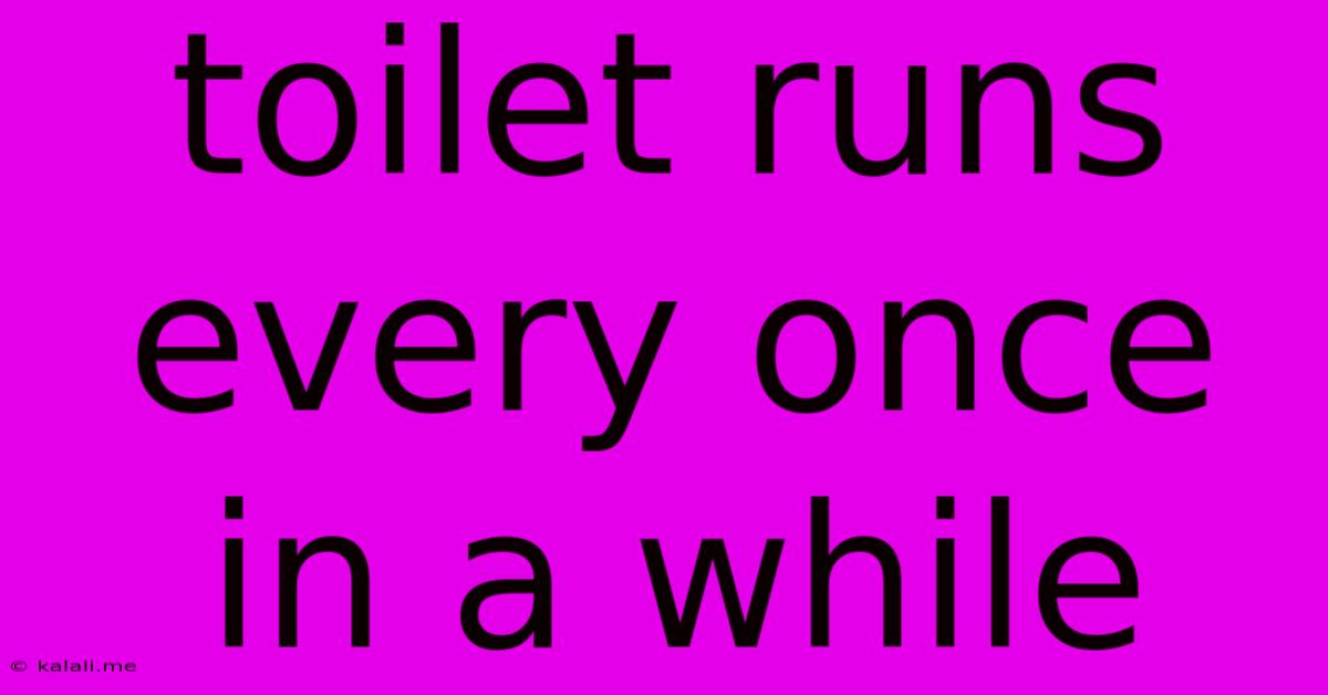 Toilet Runs Every Once In A While