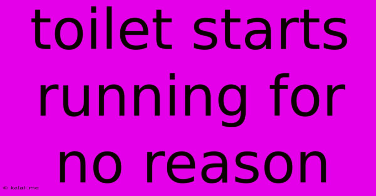 Toilet Starts Running For No Reason