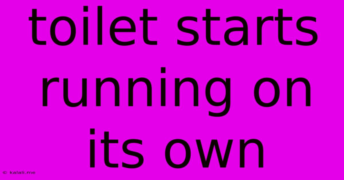 Toilet Starts Running On Its Own