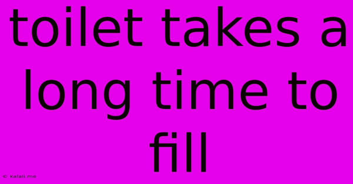 Toilet Takes A Long Time To Fill