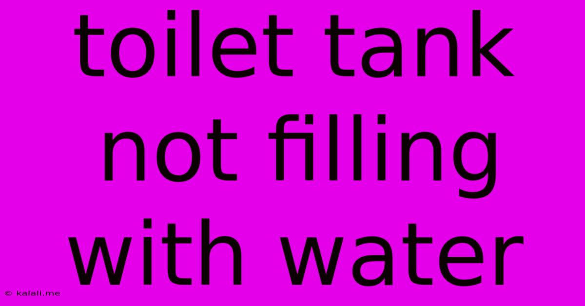 Toilet Tank Not Filling With Water