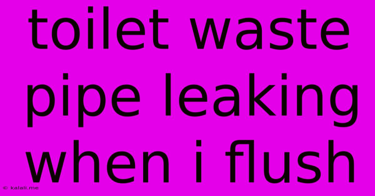 Toilet Waste Pipe Leaking When I Flush