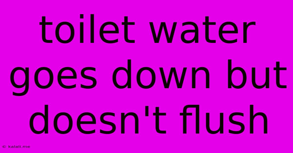 Toilet Water Goes Down But Doesn't Flush