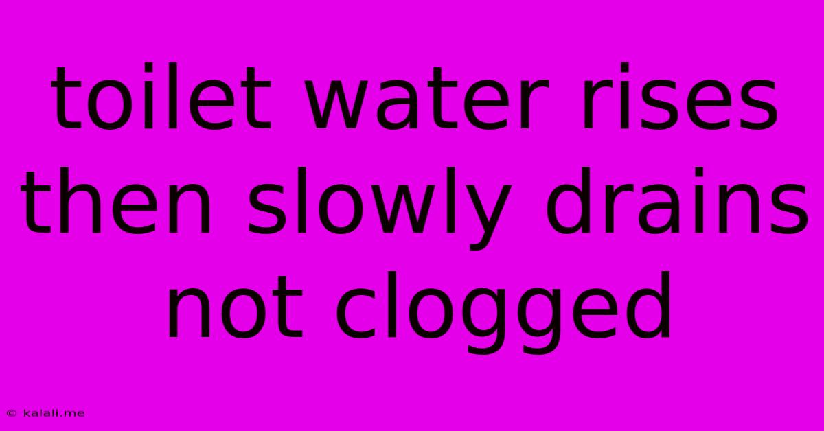 Toilet Water Rises Then Slowly Drains Not Clogged