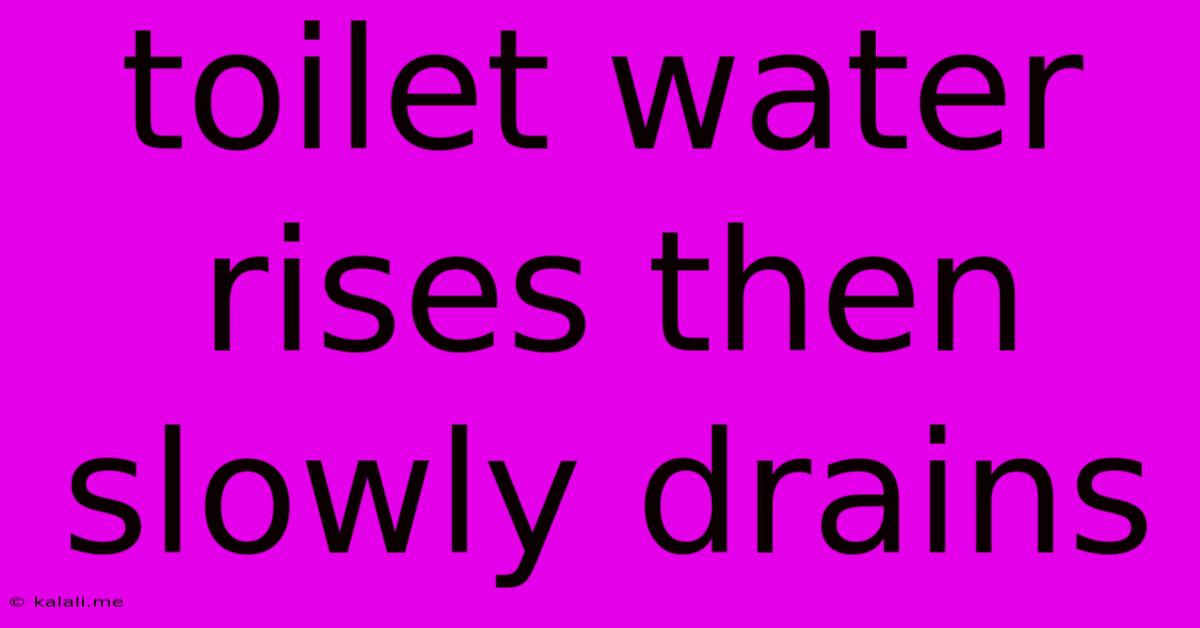 Toilet Water Rises Then Slowly Drains