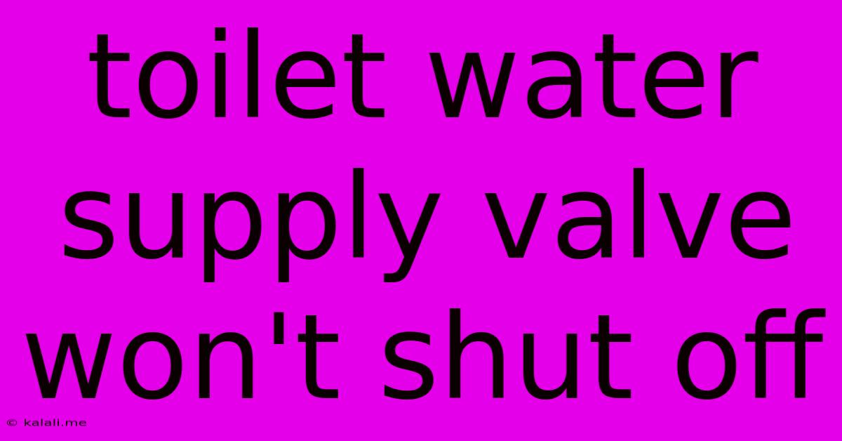 Toilet Water Supply Valve Won't Shut Off