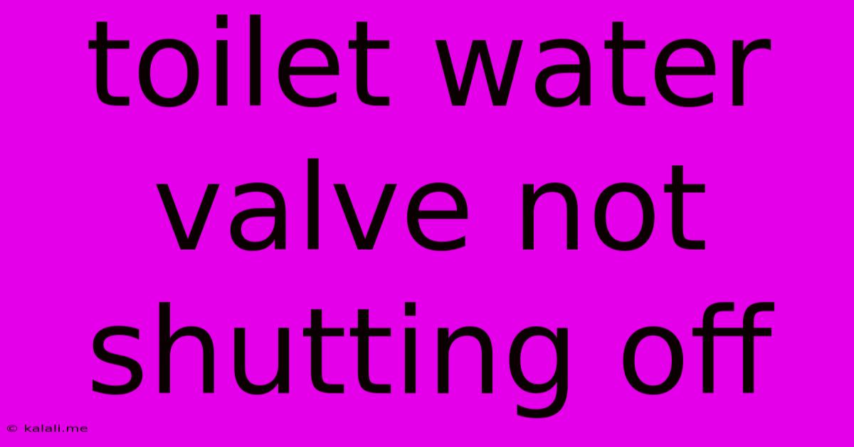 Toilet Water Valve Not Shutting Off