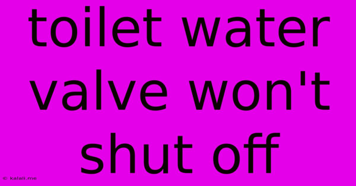 Toilet Water Valve Won't Shut Off