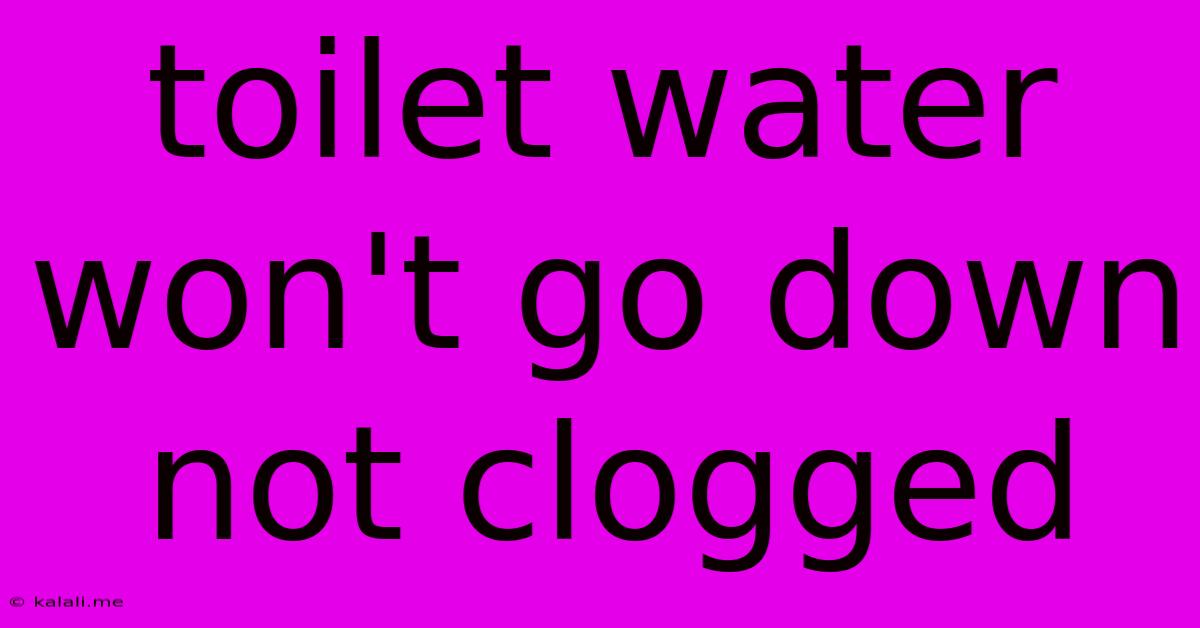 Toilet Water Won't Go Down Not Clogged