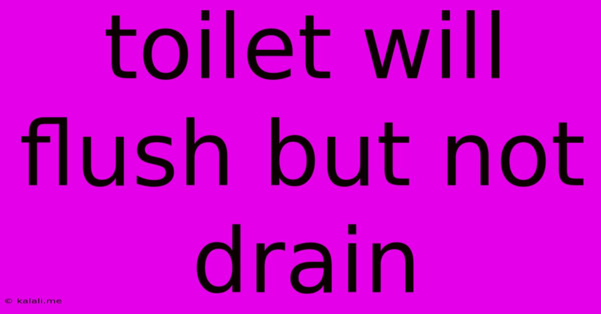 Toilet Will Flush But Not Drain