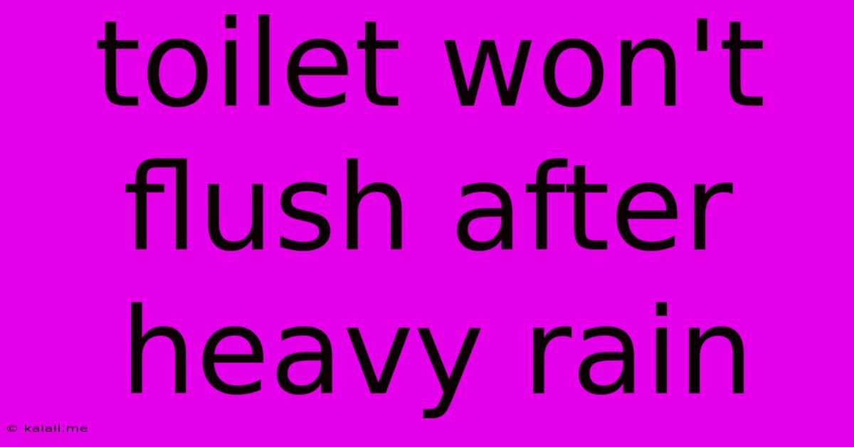 Toilet Won't Flush After Heavy Rain