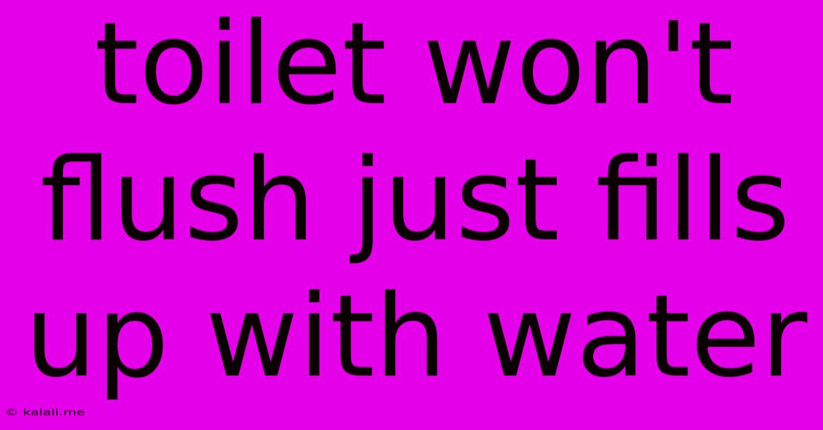 Toilet Won't Flush Just Fills Up With Water