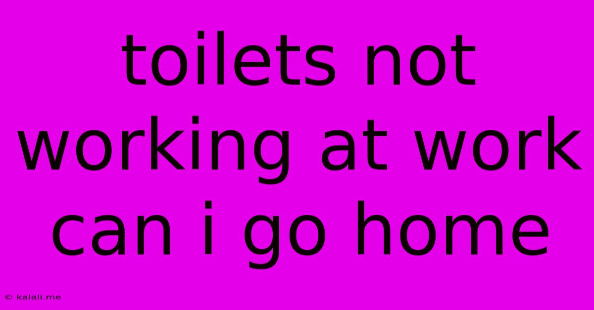 Toilets Not Working At Work Can I Go Home