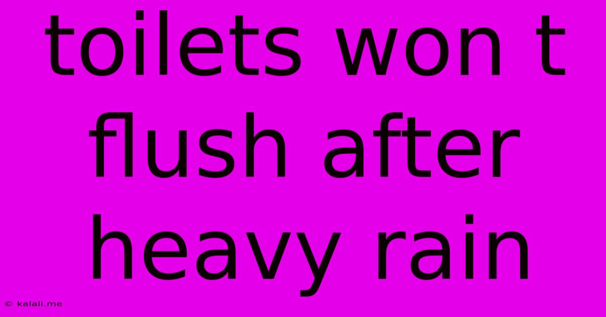 Toilets Won T Flush After Heavy Rain