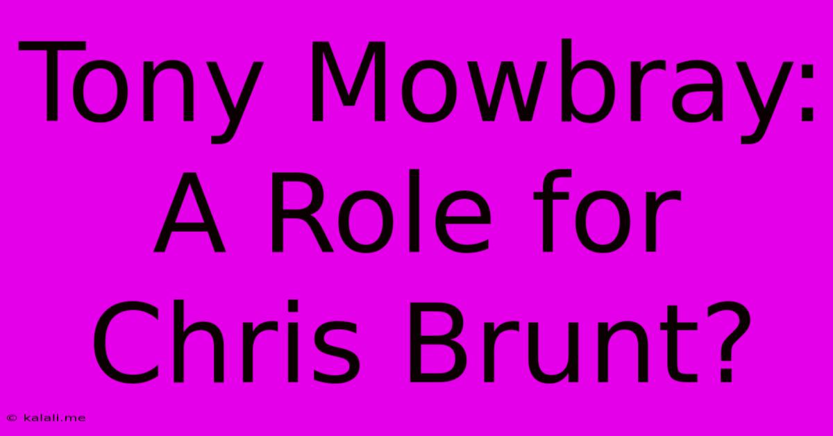 Tony Mowbray: A Role For Chris Brunt?