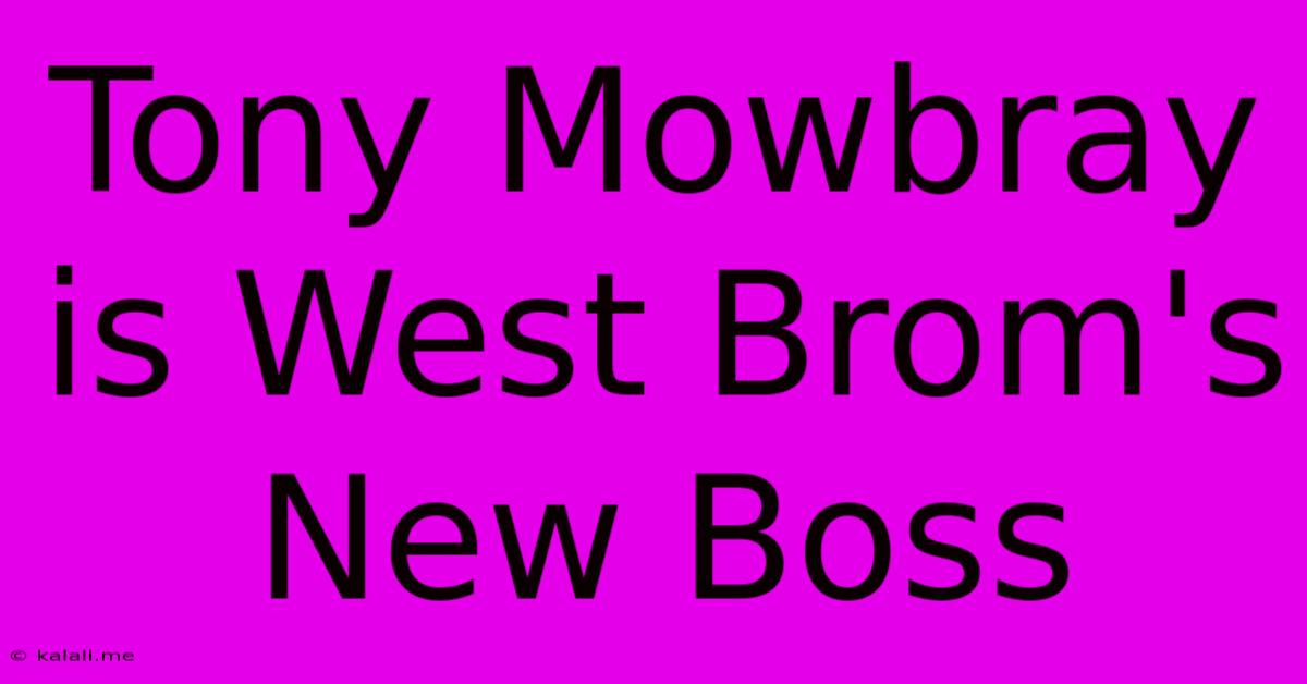 Tony Mowbray Is West Brom's New Boss