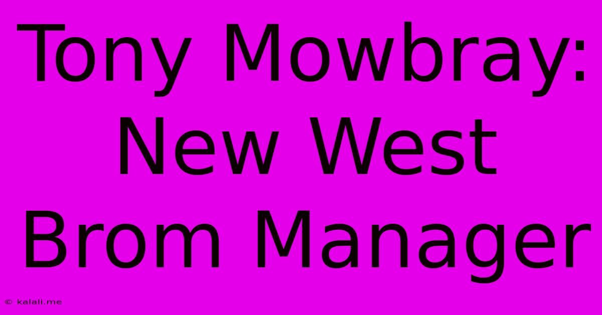 Tony Mowbray: New West Brom Manager