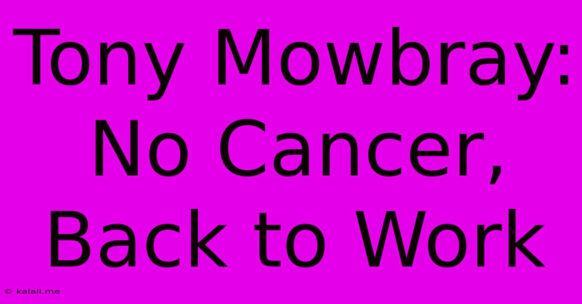 Tony Mowbray: No Cancer, Back To Work