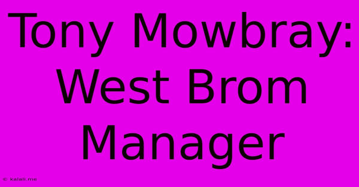 Tony Mowbray: West Brom Manager