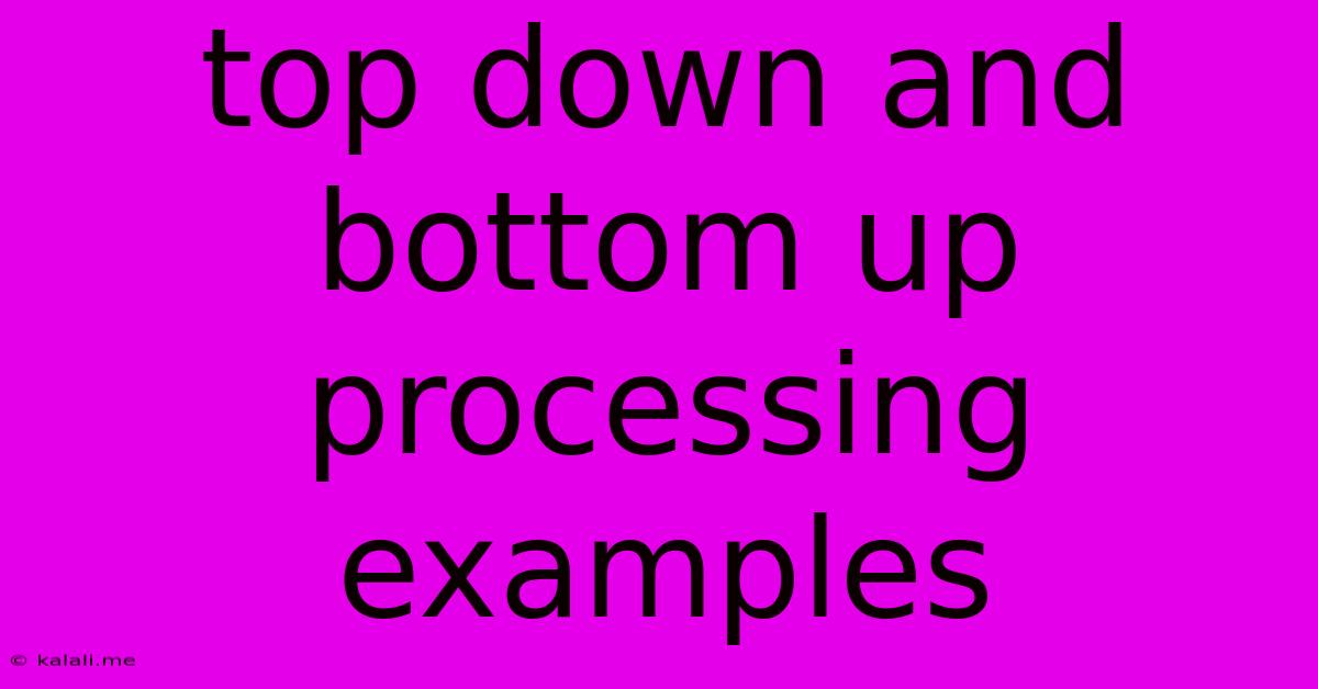 Top Down And Bottom Up Processing Examples