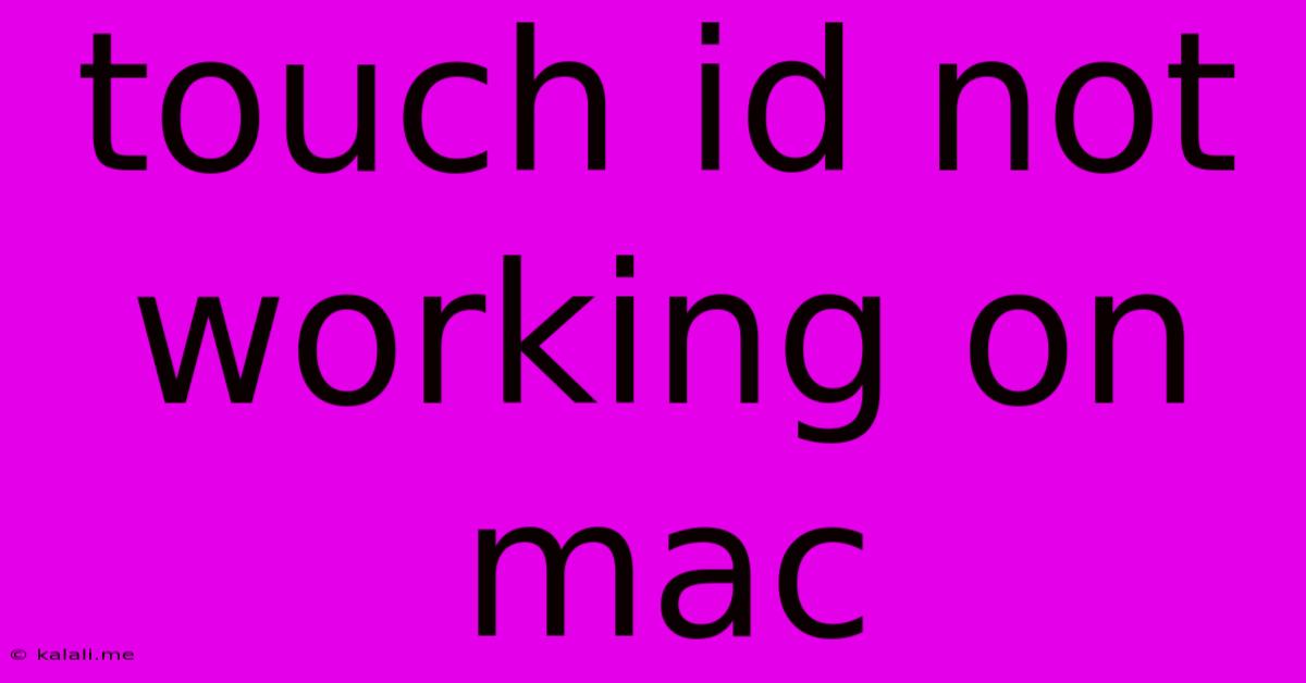 Touch Id Not Working On Mac