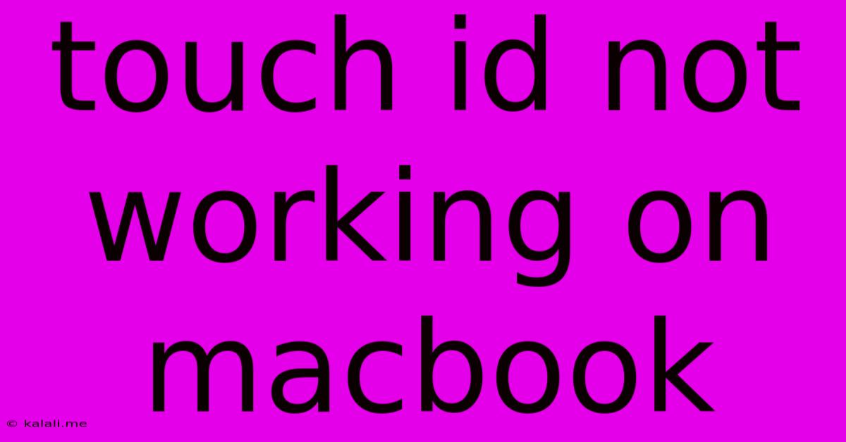 Touch Id Not Working On Macbook