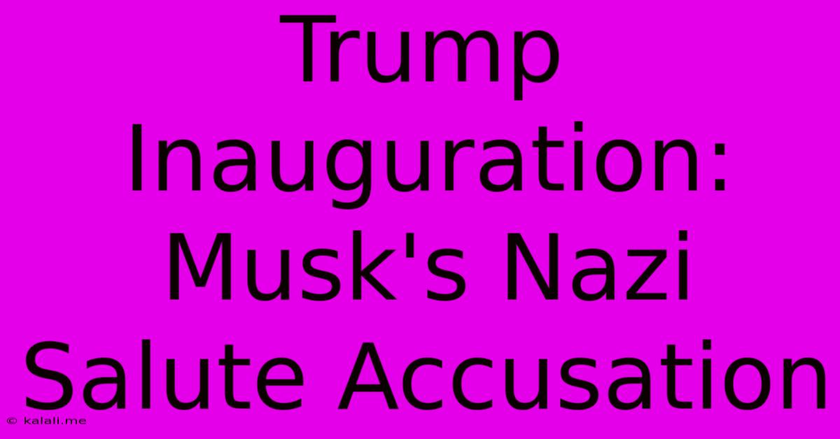 Trump Inauguration: Musk's Nazi Salute Accusation