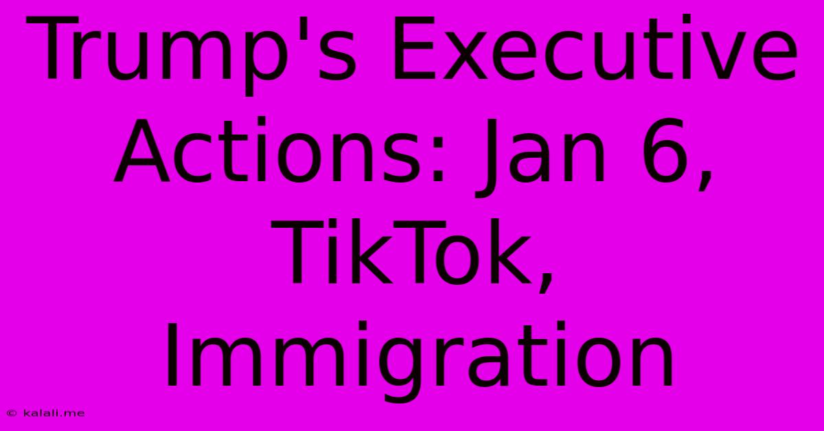 Trump's Executive Actions: Jan 6, TikTok, Immigration